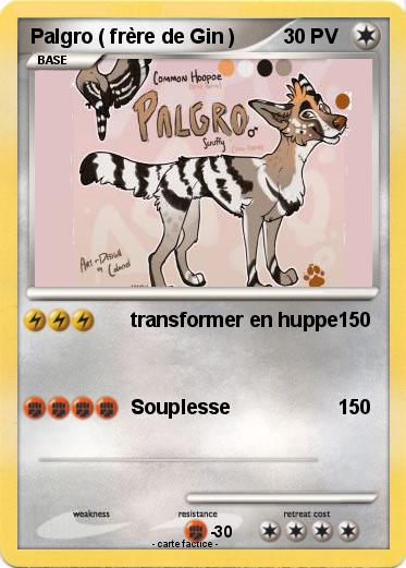 Pokemon Palgro ( frère de Gin )