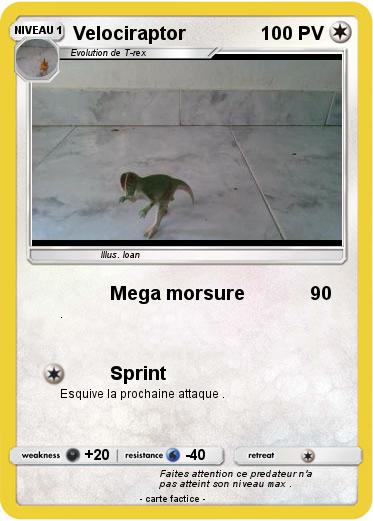 Pokemon Velociraptor