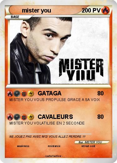 Pokemon mister you