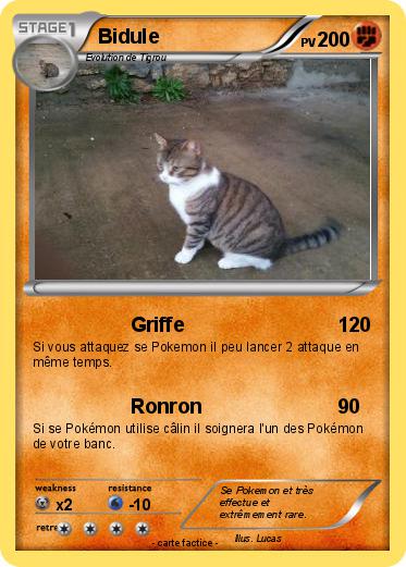 Pokemon Bidule