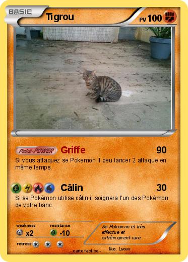 Pokemon Tigrou