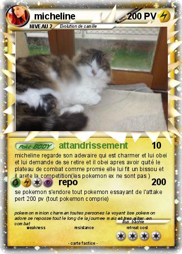 Pokemon micheline