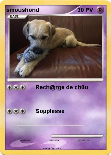 Pokemon smoushond