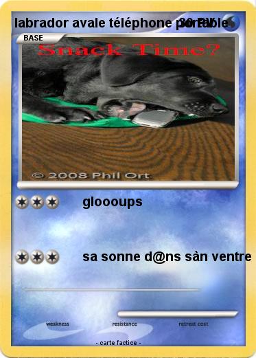 Pokemon labrador avale téléphone portable
