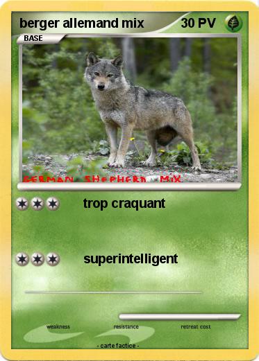 Pokemon berger allemand mix