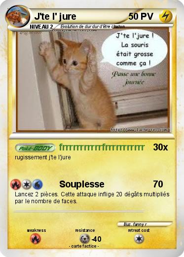 Pokemon J'te l' jure