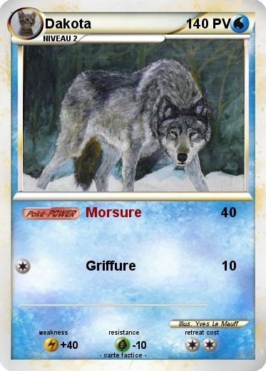 Pokemon Dakota