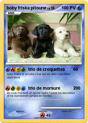 Pokemon boby friska pitoune