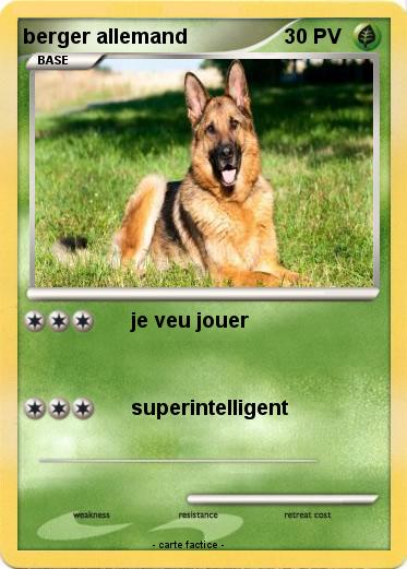 Pokemon berger allemand