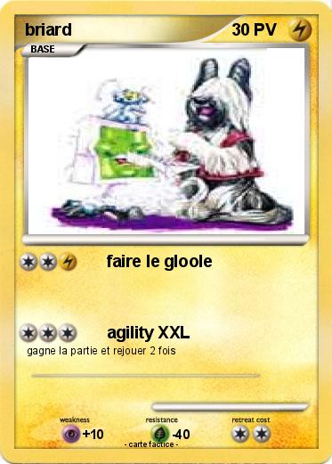 Pokemon briard