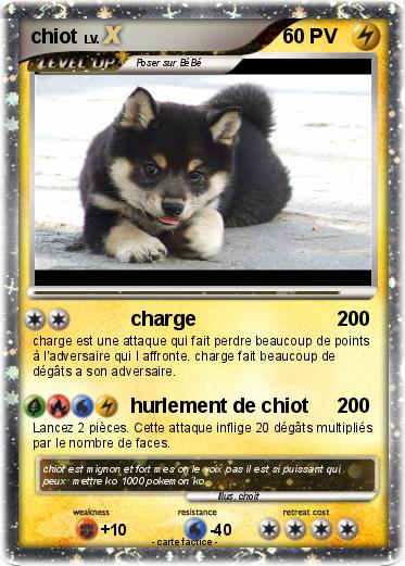 Pokemon chiot