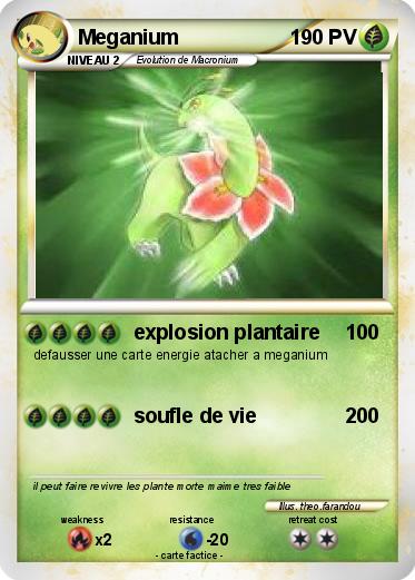 Pokemon Meganium