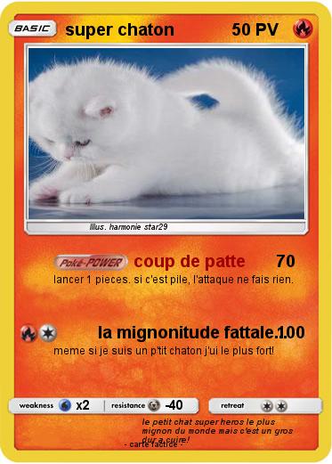 Pokemon super chaton