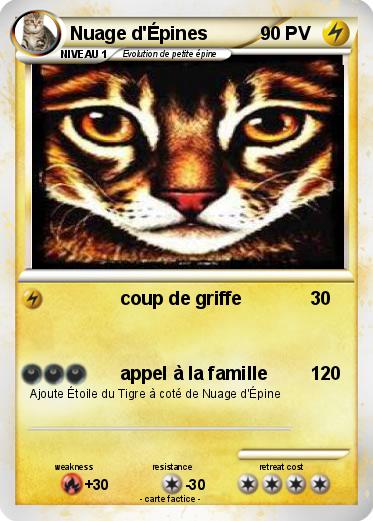 Pokemon Nuage d'Épines