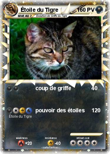 Pokemon Étoile du Tigre