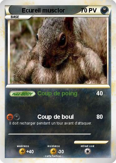 Pokemon Ecureil musclor