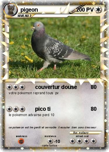 Pokemon pigeon