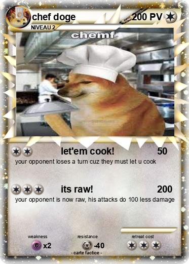 Pokemon chef doge