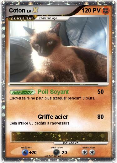 Pokemon Coton