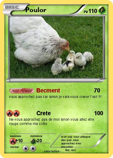 Pokemon Poulor