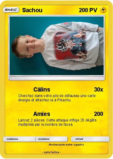 Pokemon Sachou