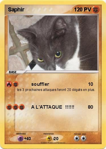 Pokemon Saphir