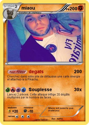 Pokemon miaou