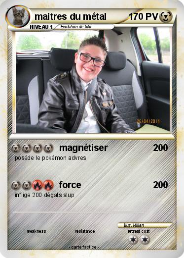 Pokemon maitres du métal
