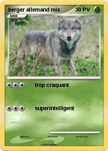 Pokemon berger allemand mix