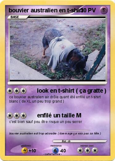 Pokemon bouvier australien en t-shirt