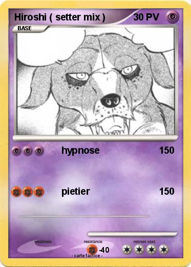 Pokemon Hiroshi ( setter mix )