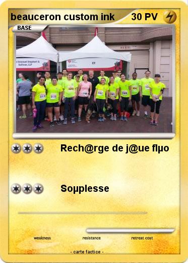 Pokemon beauceron custom ink