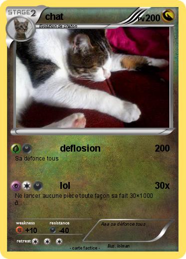 Pokemon chat
