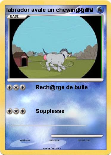 Pokemon labrador avale un chewing-gum