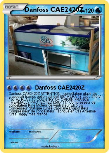 Pokemon Danfoss CAE2420Z