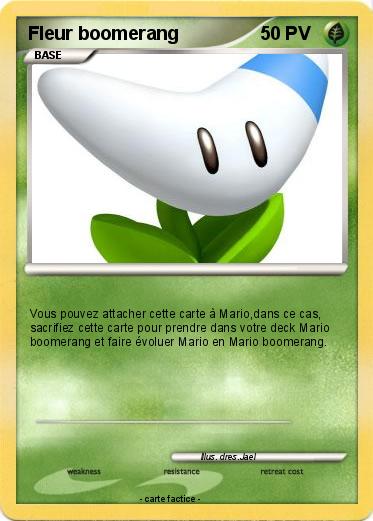 Pokemon Fleur boomerang