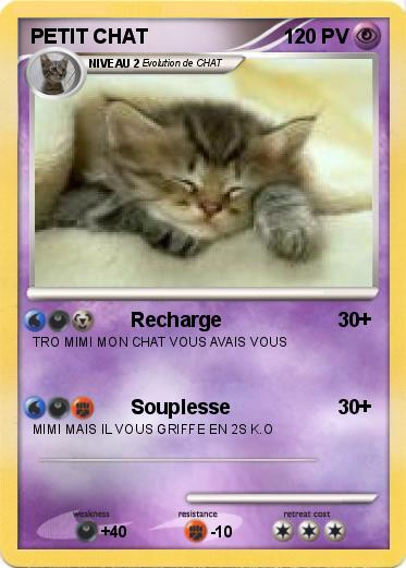Pokemon PETIT CHAT