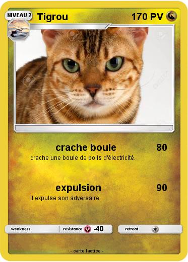 Pokemon Tigrou