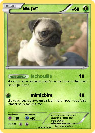 Pokemon BB pet