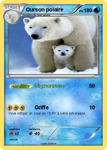Pokemon Ourson polaire