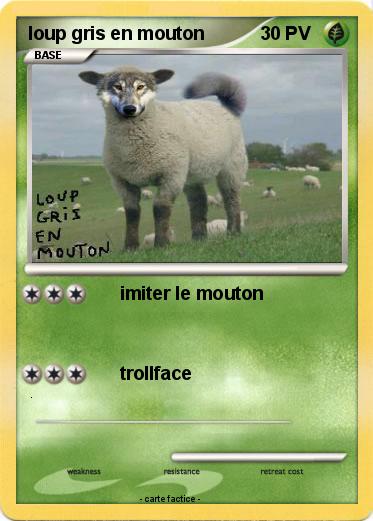 Pokemon loup gris en mouton