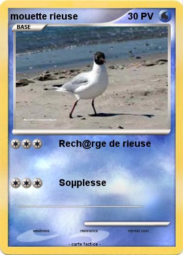 Pokemon mouette rieuse