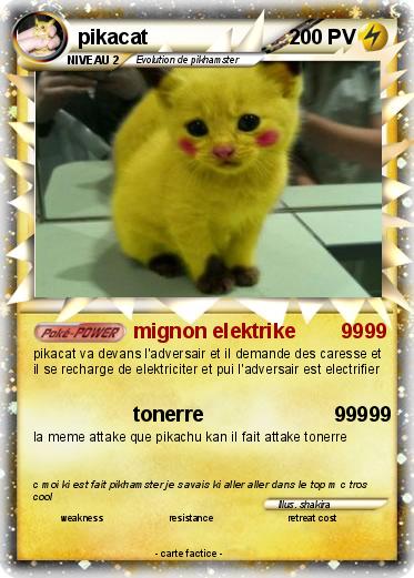 Pokemon pikacat