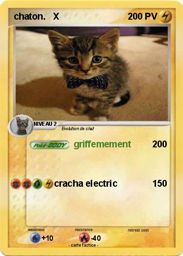 Pokemon chaton.   X