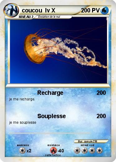 Pokemon coucou  lv X