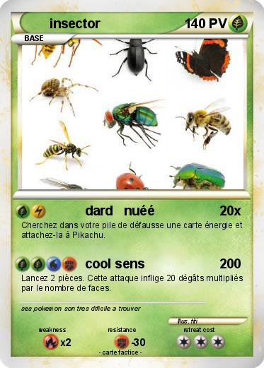 Pokemon insector