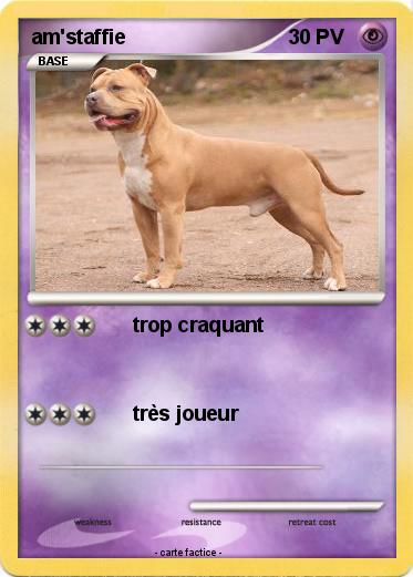 Pokemon am'staffie