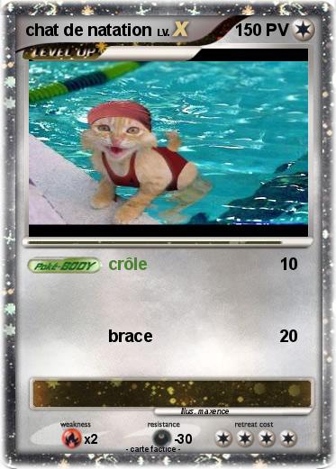 Pokemon chat de natation