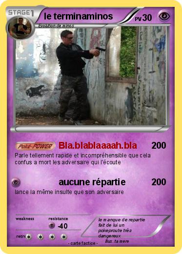 Pokemon le terminaminos