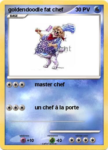 Pokemon goldendoodle fat chef
